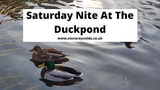 Saturday Nite At The Duckpond - The Cougars Cover by Steve Reynolds