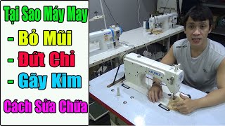 Tại Sao Máy May Hay Bị Đứt Chỉ | Bỏ Mũi | Gãy Kim | Cách Thay Trụ Kim Máy May ||#nganhmaymac