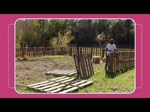 How to Build a Pallet Fence & Garden Update! How to Build a Pallet Fence & Garden Update!