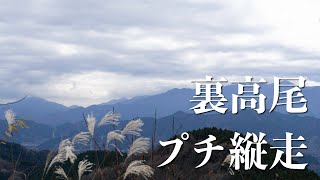 【高尾山】景信山から小仏城山・高尾山を巡る、裏高尾プチ縦走！