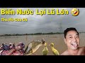 3 Chú Ngan Con Chào Đời Mùa Lũ Lớn.Cua Cá Nhiều Mà Buồn Quá.Long Đen