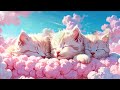 1hour healing healed kitten with pink clouds ピンクの雲で癒され子猫