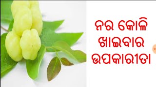 ନରକୋଳିର ଉପକାରୀତା,ODIA,ODIA HEALTH TIPS ON STAR GOOSEBERRY,ODIA BENEFITS ON STAR GOOSEBERRY,VARKHA