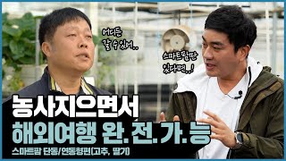 [스마트팜 현장컨설팅 2편] 고추, 딸기 농사지으면서 해외여행 완.전.가.능