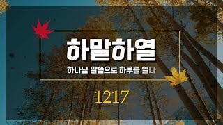 20241129/하.말.하.열/1217째 묵상/김광덕 담임목사(여의도순복음소하교회)