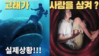 고래가 사람을 먹으면 생존 가능? / 사람을 삼킨 고래