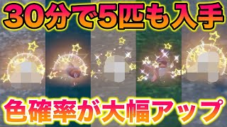 【大量】イベント大量発生で色違い確率が上がりすぎて色シャリタツを30分で5匹もゲットできたんだがww【ポケモンSV/藍の円盤/ゼロの秘宝】