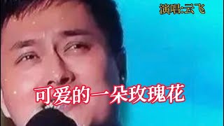 云飞一首《可爱的一朵玫瑰花》，歌声深情细腻，优美醉人！【大忙人5B4C】