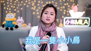 小米Mila🎤《天下浪子不獨你一人/半斤八兩/祝福/我是一隻小小鳥》與你共聚音樂分享 Youtube Live第245集 2023.02.16