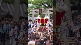 参道の階段を登っていく陵南町のふとん太鼓-宮入【百舌鳥八幡宮秋祭り】2023.9.30