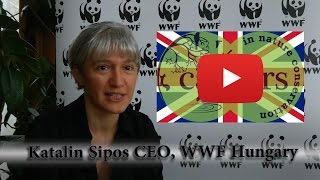 WWF Hungary advice on employability