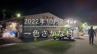 【国内最高峰の朝市】リピート率99%⁉︎『一色さかな村』完全公開