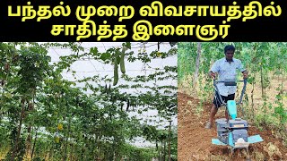 புடலங்காய்,சுரைக்காய்,பாகற்காய் பந்தல் சாகுபடி|how to grow snake gourd cultivation in tamil