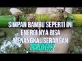 @SIMPAN BAMBU SEPERTI INI!!!!!PENANGKAL TELUH!!!!