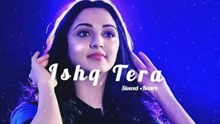 Ishq Tara ~ Guru Randhawa (Slow + Reverb) Song