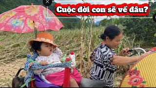 “Bà chở cháu trên con đường đời – Câu chuyện khiến ai cũng rơi nước mắt”
