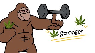 How Weed Affects Your Gains