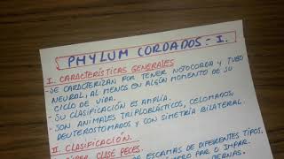 PHYLUM CORDADOS   I