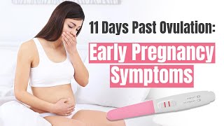 11 Days Past Ovulation: Early Pregnancy Symptoms