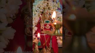 எல்லா புகழும் கந்தனுக்கு #murugan #festival #முருகன் #ஷார்ட்ஸ் #shorts#viralvideo#tamil#murugansongs