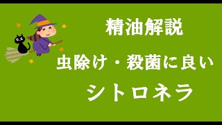 アロマおばさんの精油解説　シトロネラ