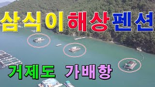 거제도 가배항 삼식이 해상펜션콘도 / 가족 힐링 낚시 / 동호회낚시 / 생활낚시 / 아이들도 안전하게 즐기는 낚시 / 한번쯤은 가보고 싶은 곳