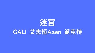 GALI 艾志恒Asen 派克特 - 迷宮