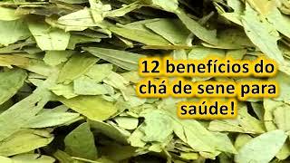 12 benefícios do chá de sene para saúde!