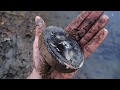 I Went Magnet Fishing In The River and I Found Someone's Lost Magnet | Nugget Noggin