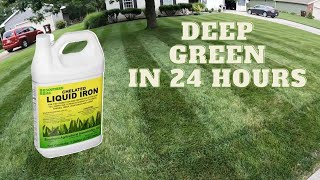 Greener Lawn  // Liquid Iron for lawns