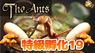 【ザ・アンツ】特級孵化を19回引く動画 【the ants】#Shorts