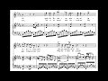 Una furtiva lagrima (L'elisir d'amore - G. Donizetti) Score Animation