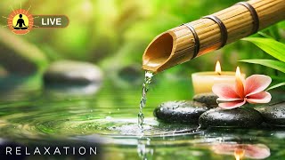 🔴 Zen Calming Music for Stress Relief, Relaxing Spa Music Therapy, Healing Meditation, Nature Sounds