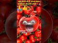 tomato | status 55 | tomato price | tamatar #shorts #comedy