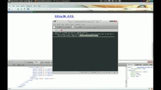 Level 1 - Realistic | Hack This Site