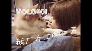 vlog#01 腾讯鹅厂女工养了条狗居然叫kpi