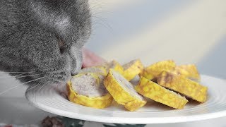 【猫饭系列:虎皮蛋卷】EP3|给他做了一份同名的食物，猫咪会开心吗？