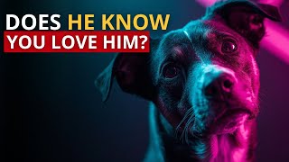 7 Signs Your Dog Actually KNOWS You Love Him