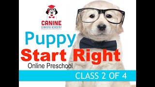 Canine Learning Academy, Puppy Start Right ONLINE Preschool Class 2