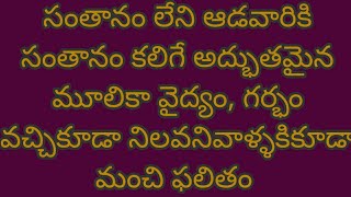 సంతానం లేని ఆడవారికి సంతానం కలిగే అద్భుతమైన మూలికా వైద్యం, గర్భం వచ్చికూడా నిలవనివాళ్ళకికూడా