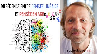 34- Pensée en arborescence🌳🌈🤯 🤪face à la pensée linéaire🛤🤓😏