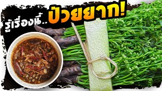 ดีจนต้องแชร์..!! ลองกินสะเดา..ถ้าพบ สุขภาพที่ผ่านมา มีอาการเช่นนี้  | Nava DIY