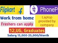 Flipkart Work from home|| Phone pe work from home ||Jobs for freshers || 12th pass jobs||