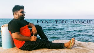 A visit to Pointpedro Harbour | Fisheries harbour in Pointpedro | Pointpedro Jetty | Aval with naan