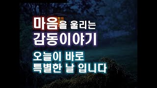 [좋은글감동글] 오늘이 바로 특별한 날 입니다