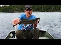 leitch lake lake trout red lake ontario