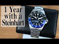 1 Year with a Steinhart Watch | Steinhart Ocean GMT 500m Premium | Best 700 € Rolex Homage GMT Diver