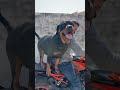 rottweiler daisy ke aadat bahut kharab ho gae ha😡😒 rottweiler shortvideo shortvideo viral