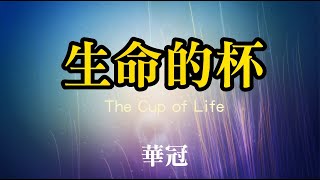 生命的杯 The Cup of Life