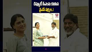 డిప్యూటీ సీఎంను కలిసిన వైస్ షర్మిల..! #yssharmila #bhattivikramarka #cmrevanthreddy @Hittvtelugunews